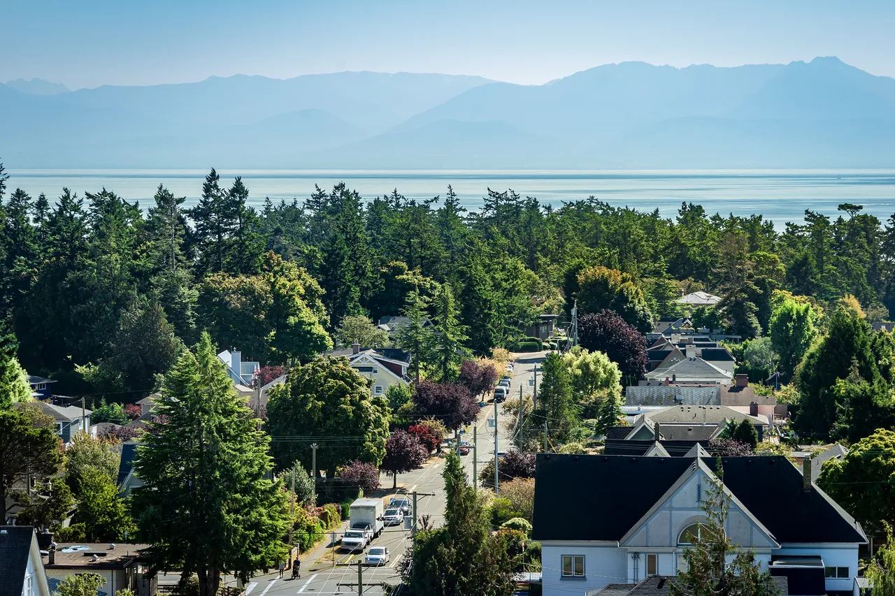 Green canopy view of Esquimalt and waterway