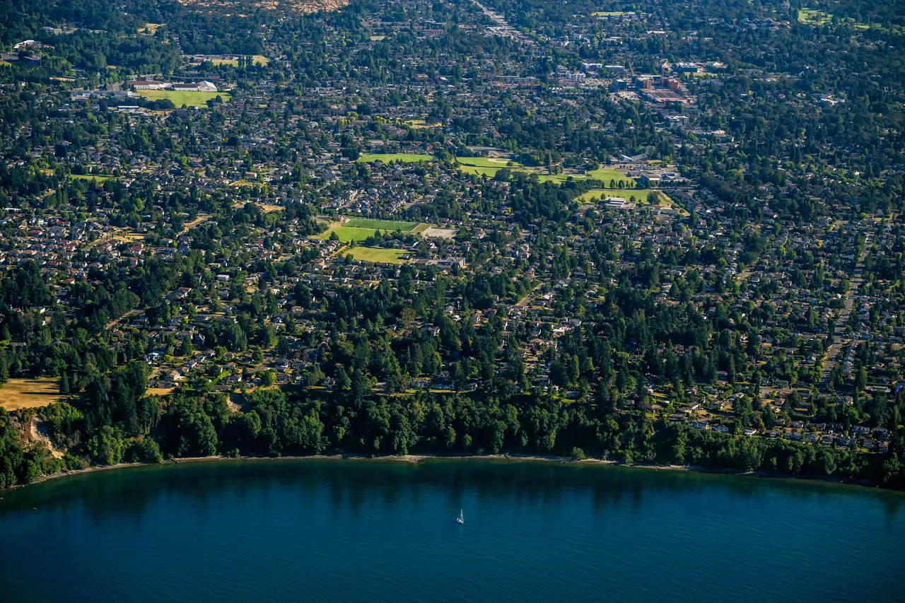 Saanich looking South with Trees and Oceans