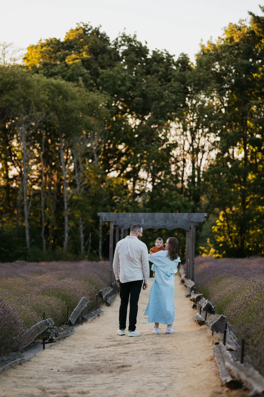Couple walking through lavender fields at golden sunset