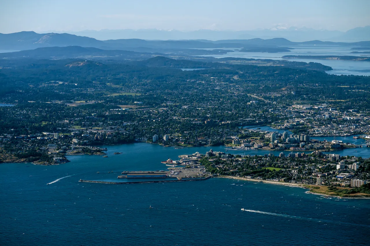 Aerial with Mountains, Ocean and Trees