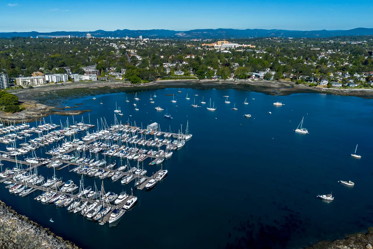Aerial Photo of Marina with Boats and Forests