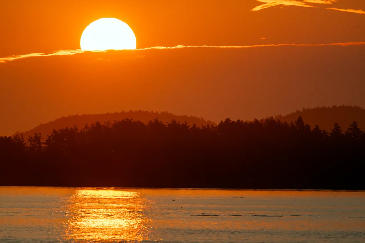 Blazing Sunrise Over Forested Coastline with Golden Ocean Reflection
