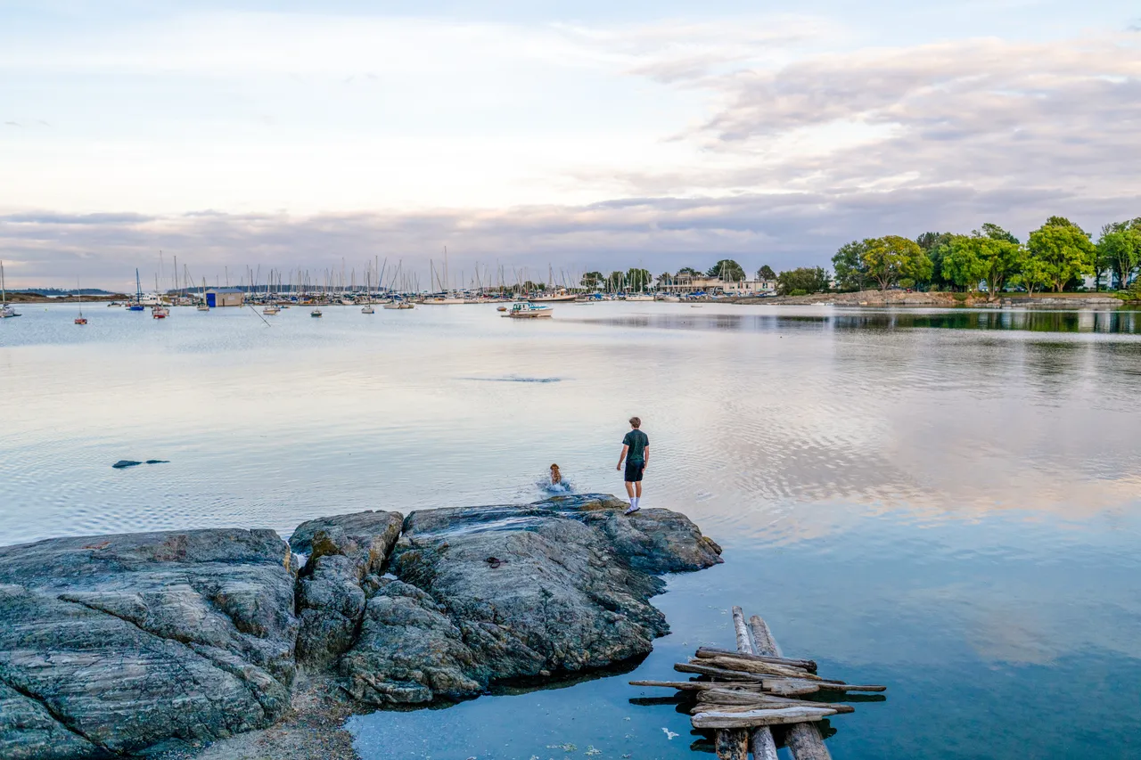Water landscape - 11