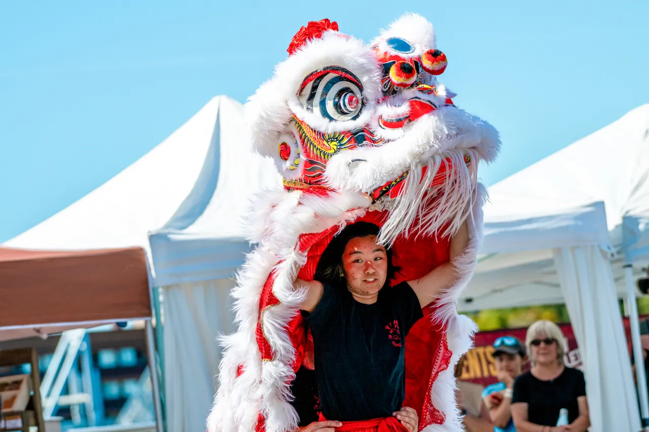 Lion dance - 3
