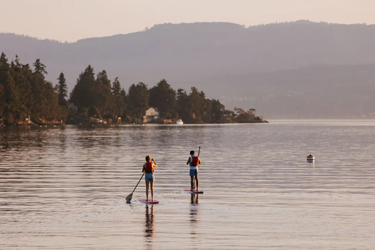 Evening paddleboarders gliding across calm coastal waters