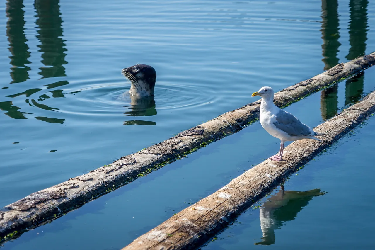 The Macaulay Point boat ramp