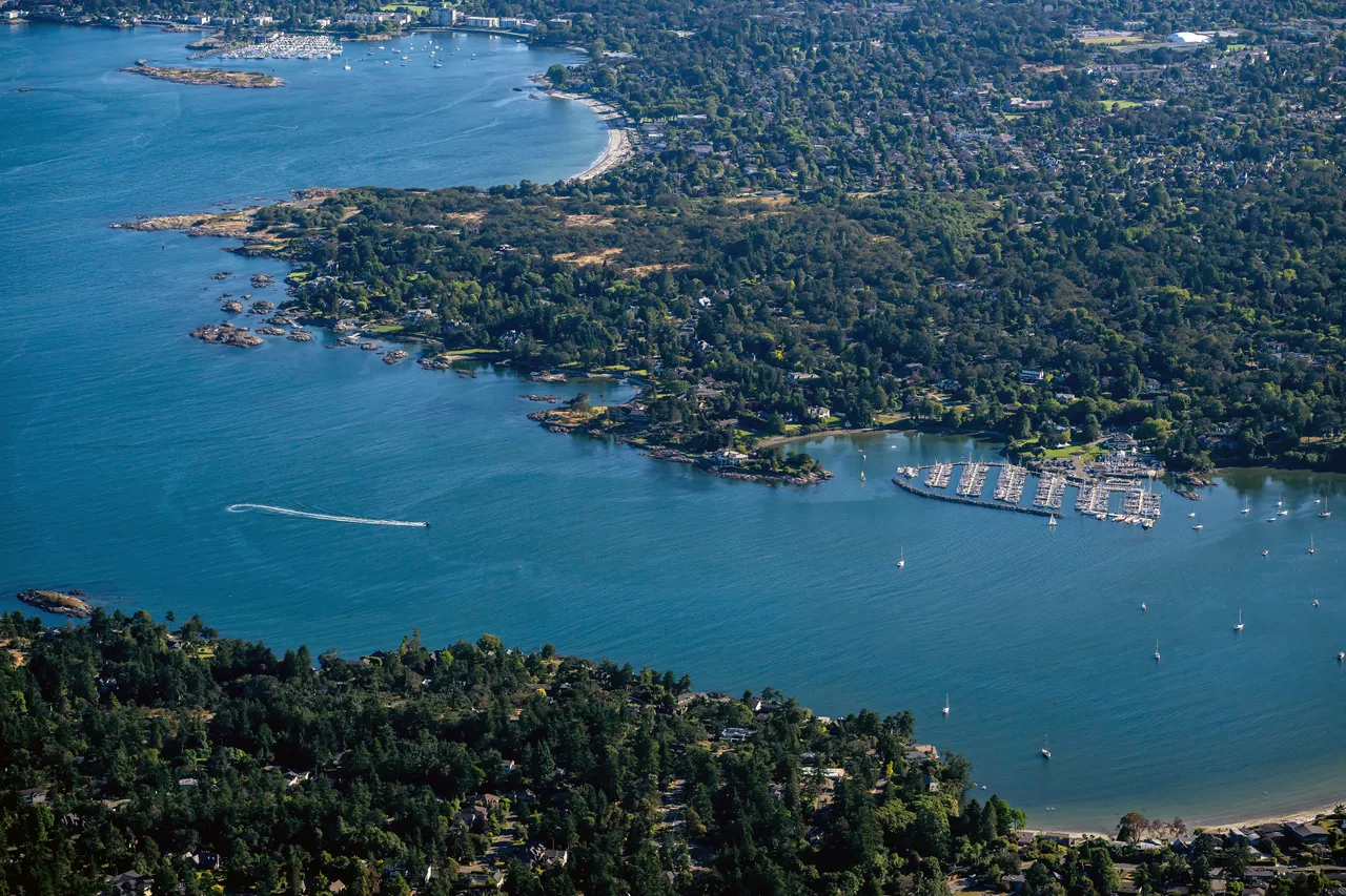 Cadboro Bay Aerial with Boats and Trees