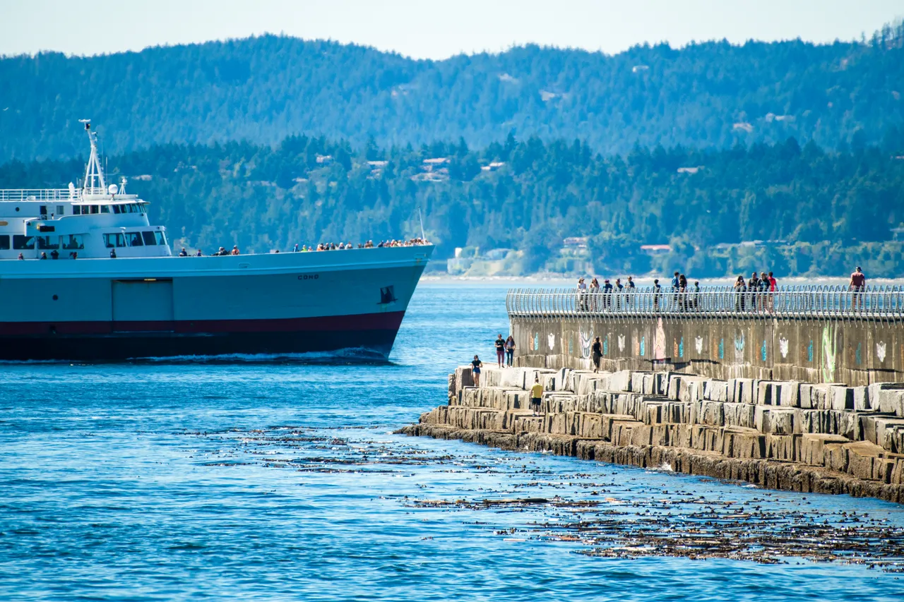 Water landscape with breakwater - 5