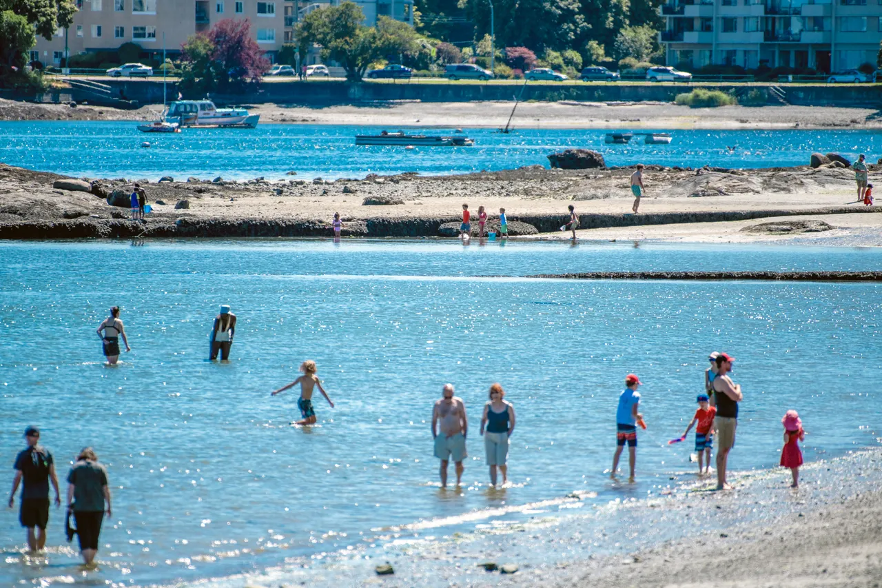 People and families on beach - 6