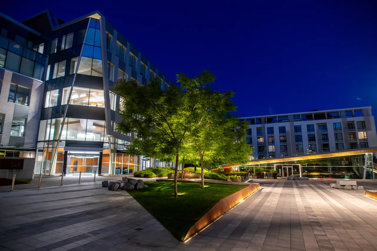Downtown Glass Buildings at Night with Tree