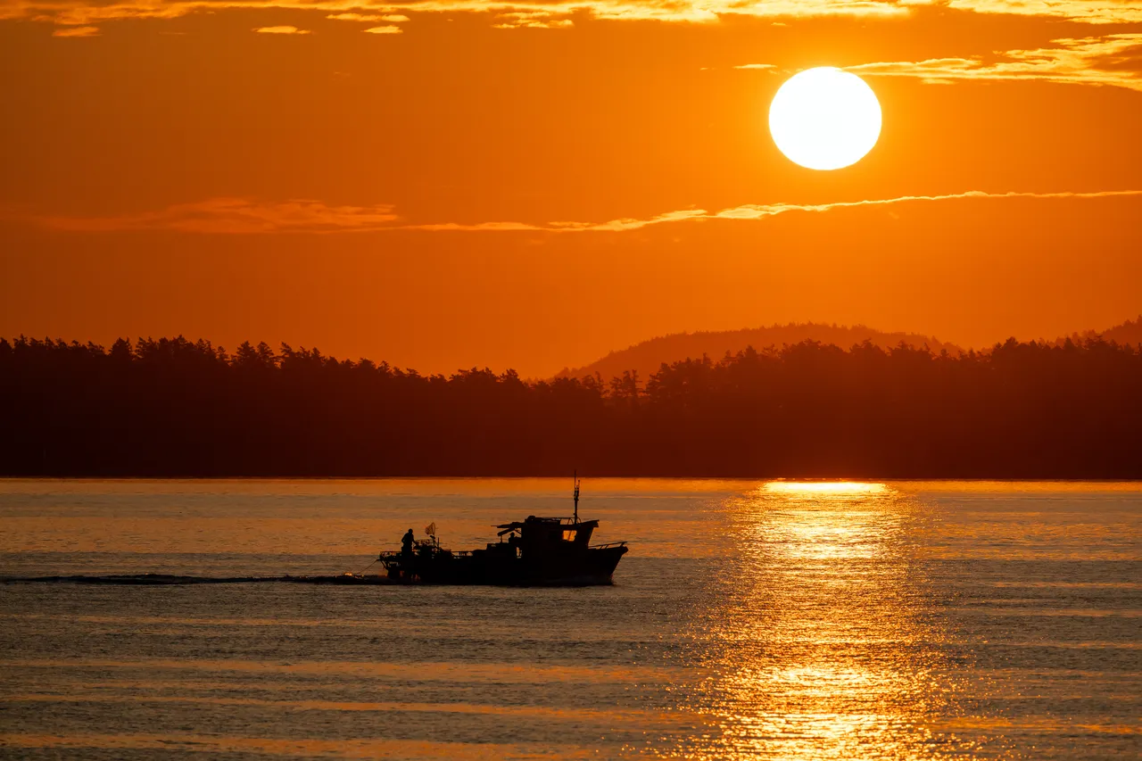 Fishing Boat Crosses a Shimmering Path of Golden Sunlight