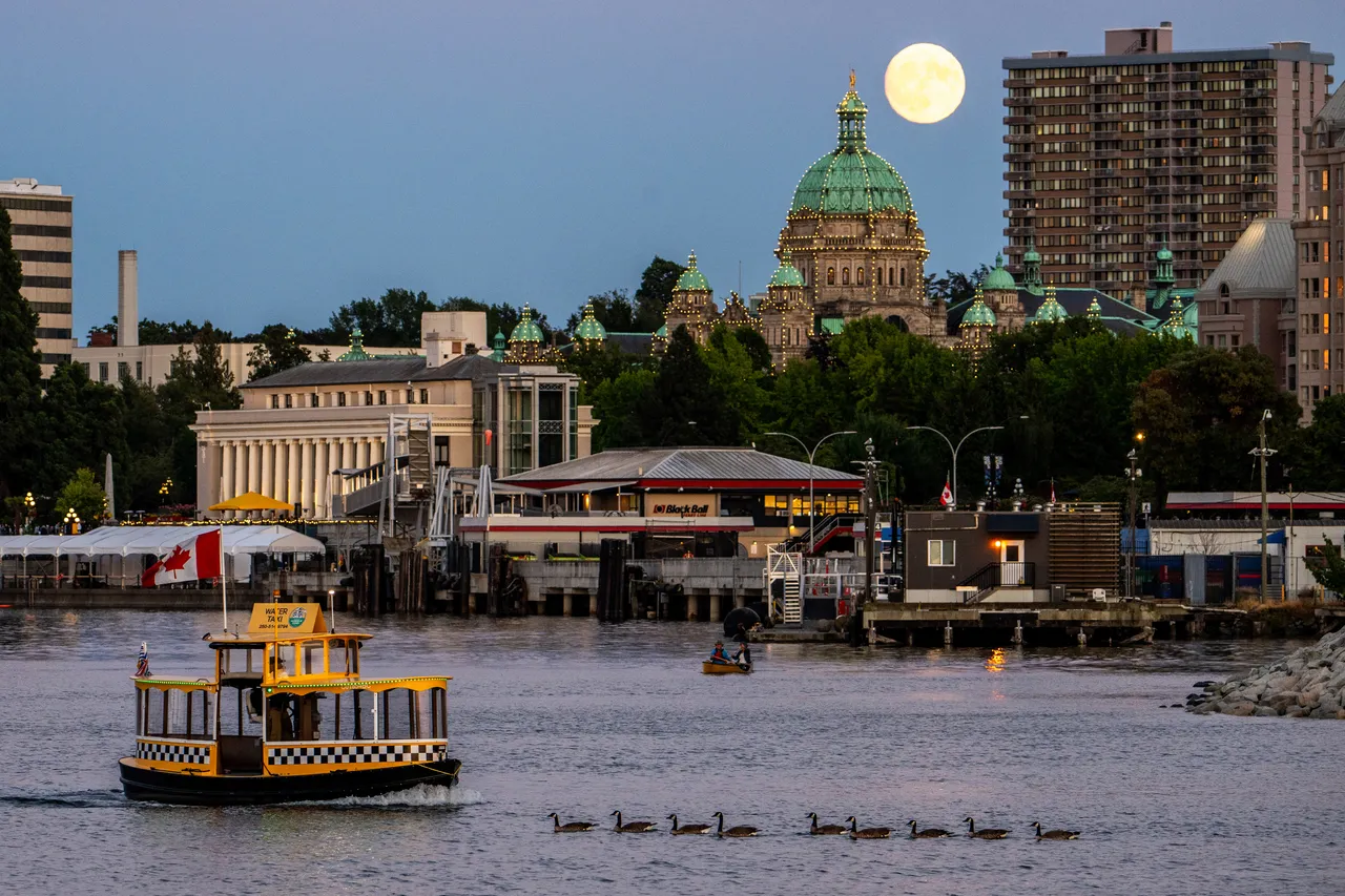 Water taxi by Parliament - Victoria