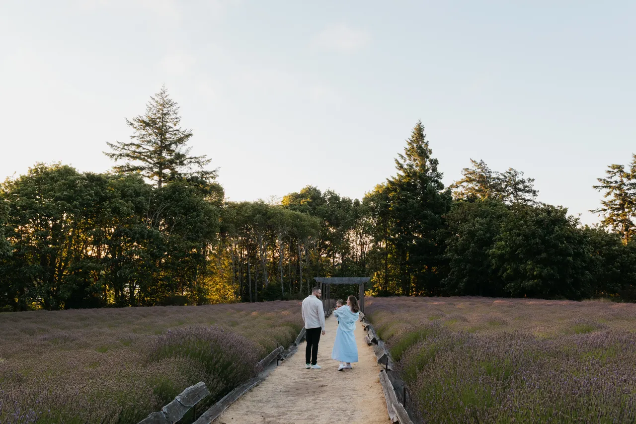 Couple walking through lavender fields at golden sunset with trees in background and large sky