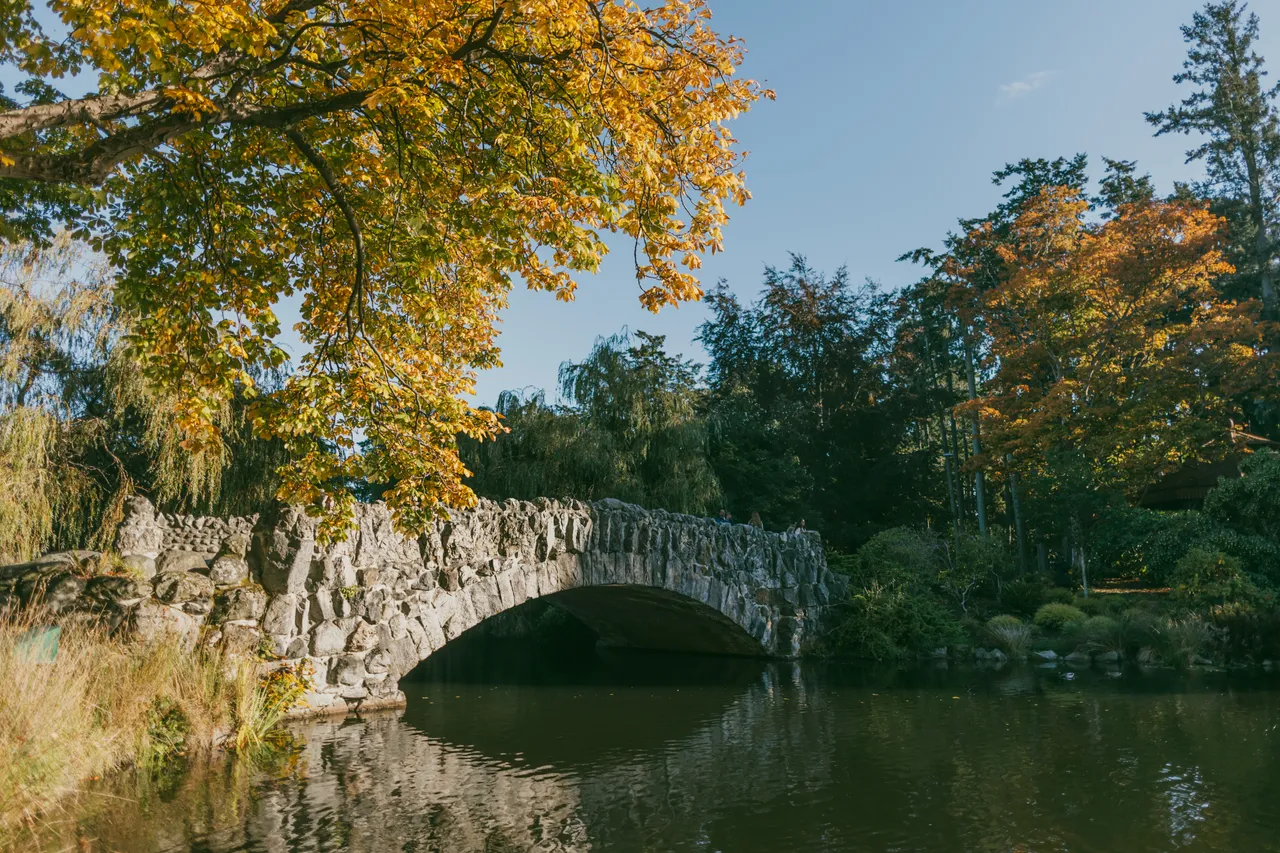 Water with autumn trees - 1 - Beacon Hill