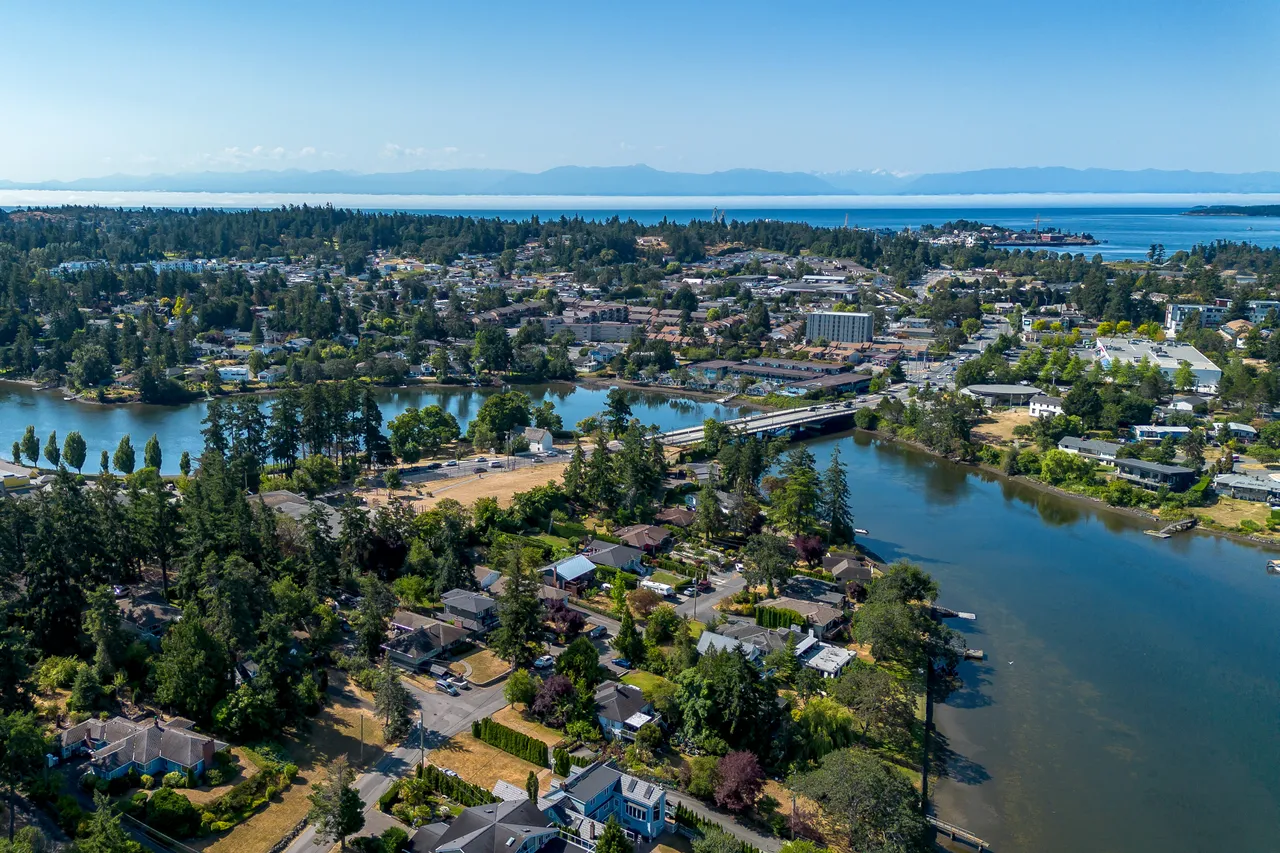 Aerial Photo of Trees, Water and Bridge