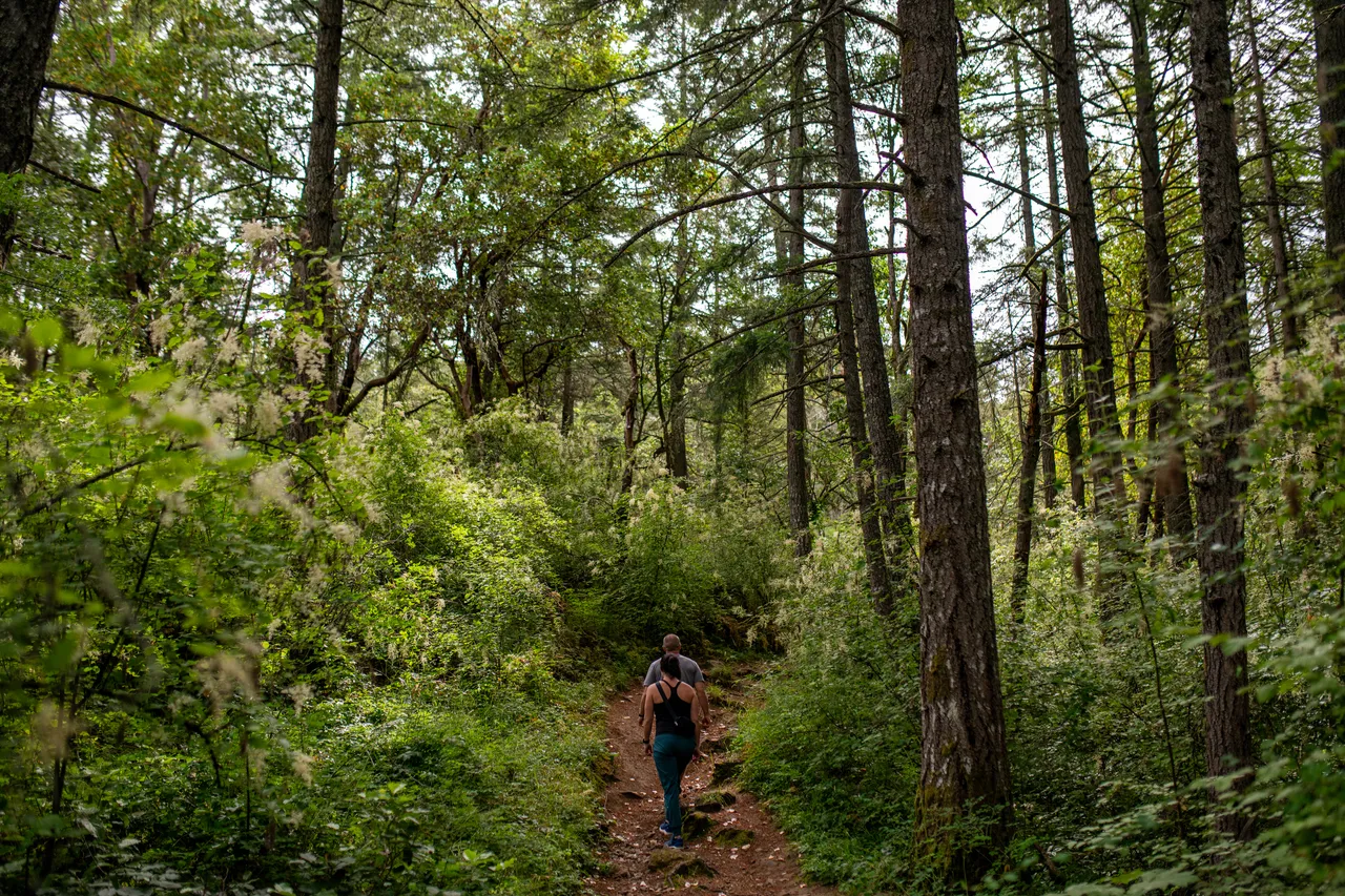 Couple hiking - 1 - Dr. Sienna Bourdon