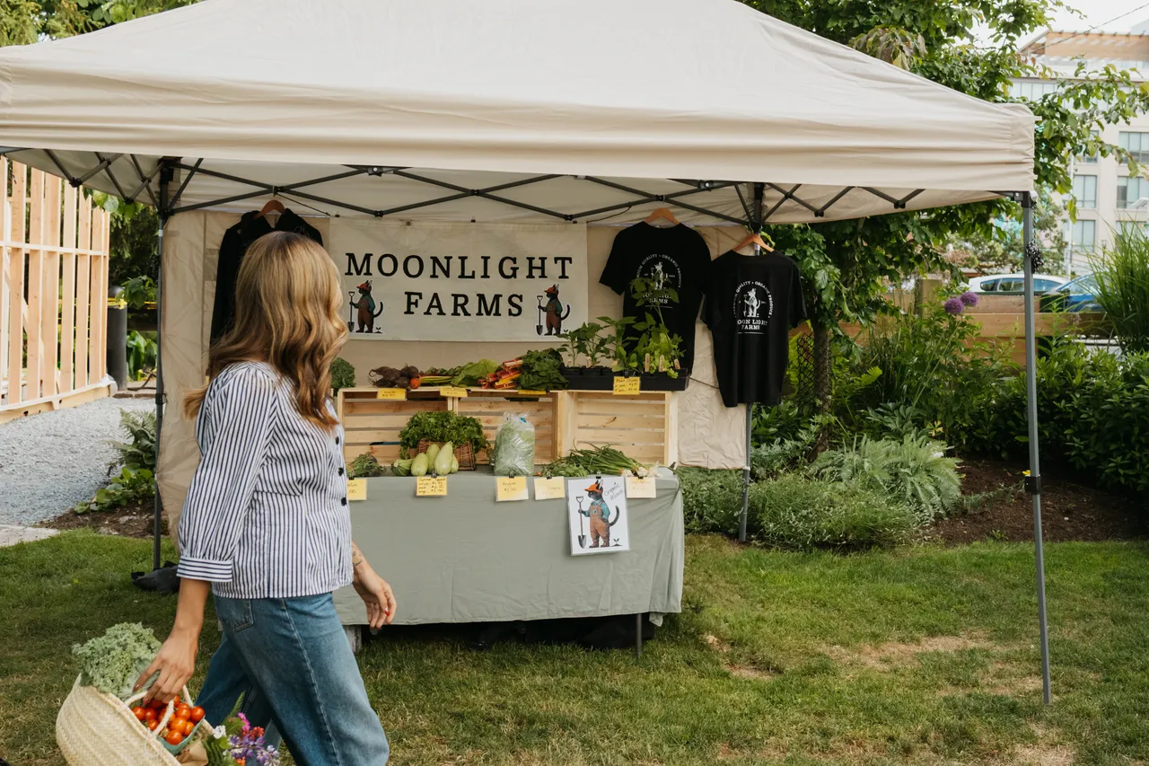 Shopper Browses Fresh Produce at the Esquimalt Outdoor Market