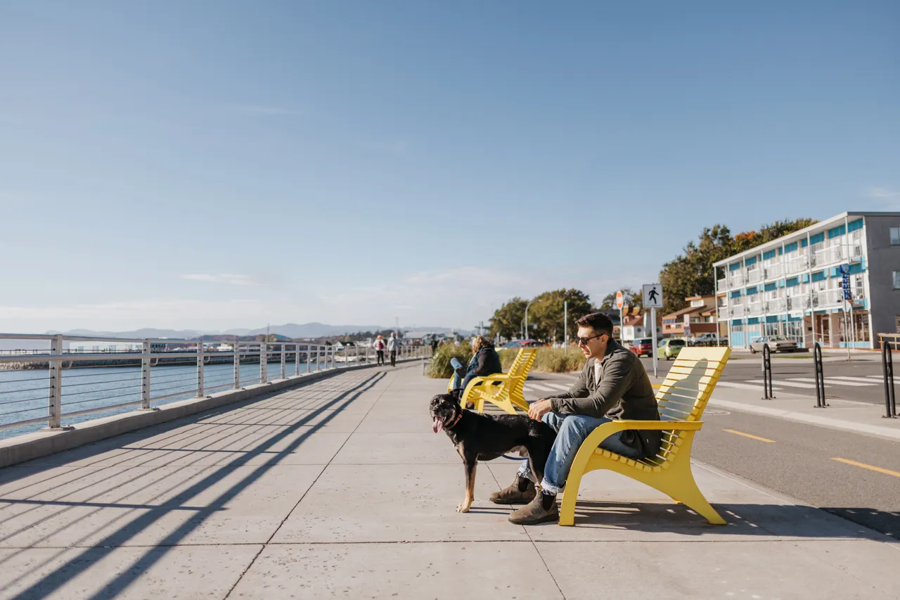 People lounging by ocean - 3