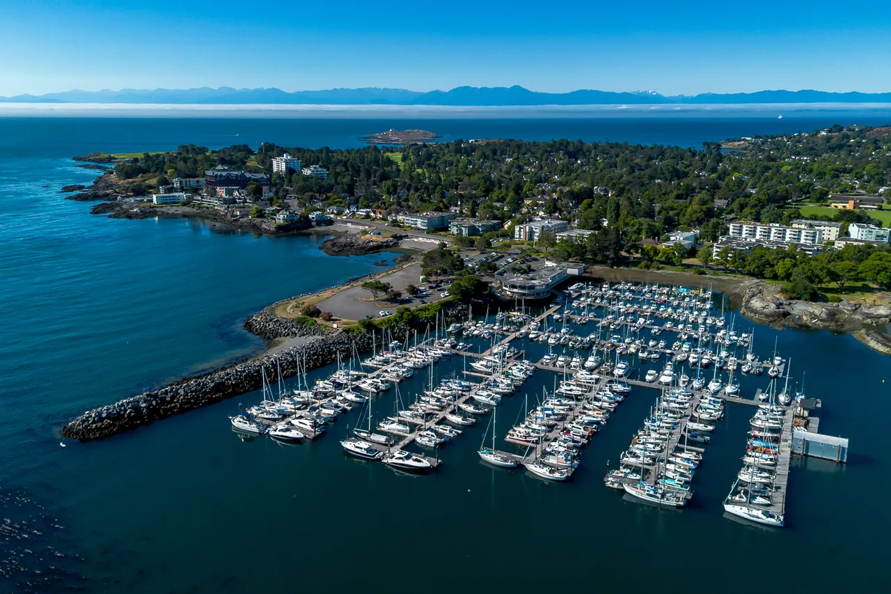 Aerial Photo of Marina with Boats, Mountains and Trees