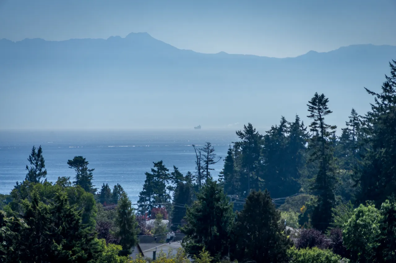 View across to Olympic Mountains 