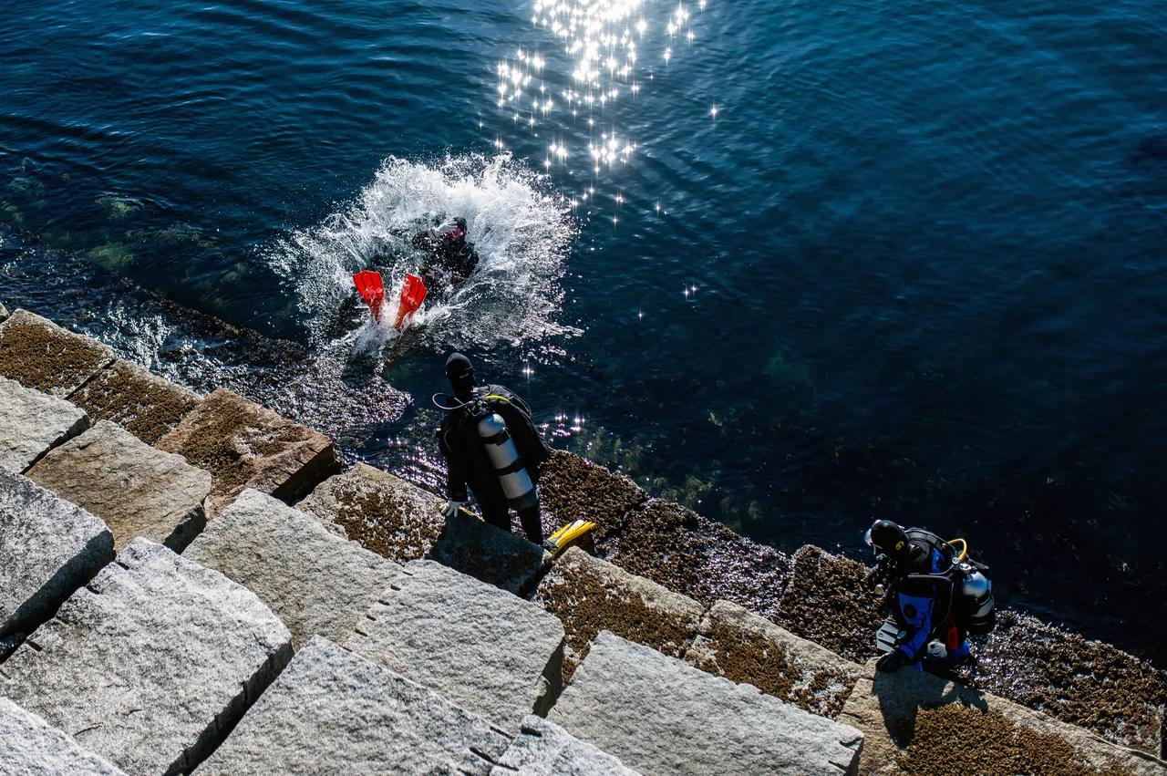 3 Snorkellers Near Water and In Water at Ogden Point