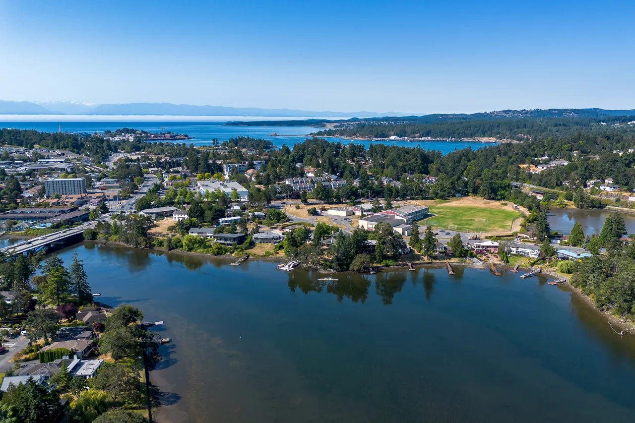 Summer Aerial Photo of Water and Trees Overlooking Field