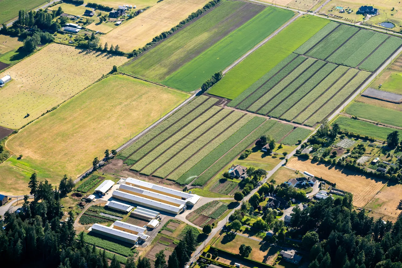 Saanich looking South Aerial with Farmland 2