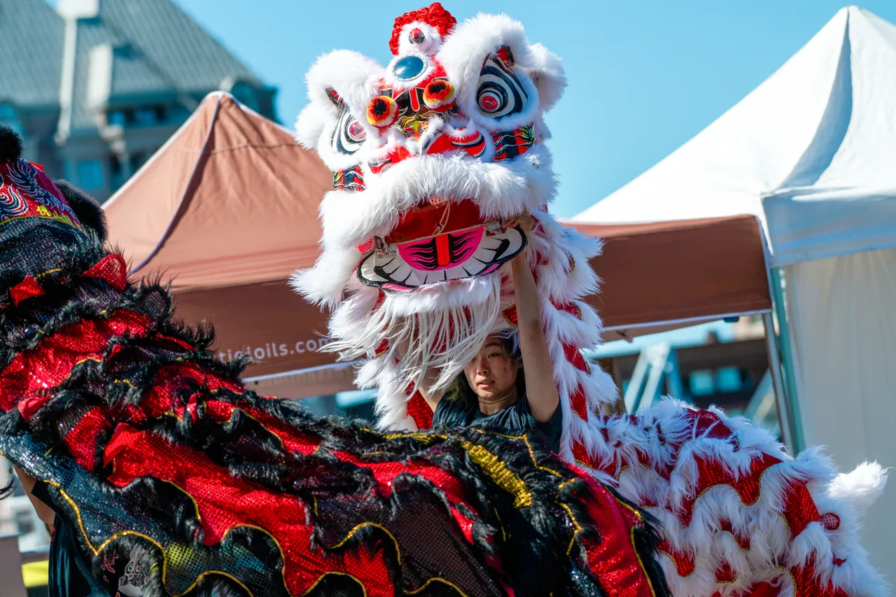 Lion dance - 1