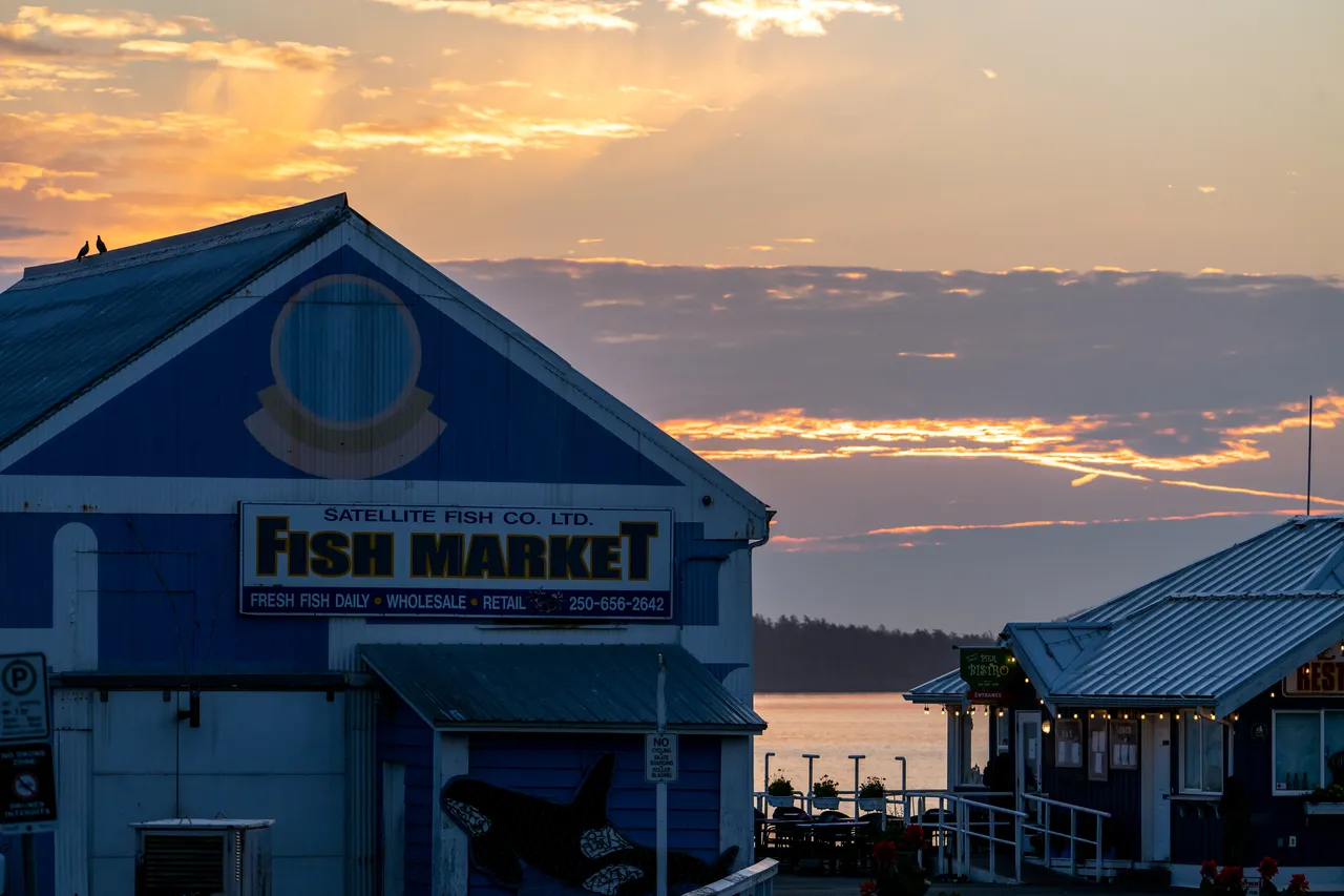 Waterfront fish market building silhouetted against a golden sunrise sky