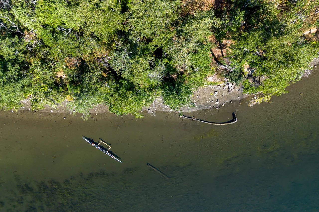 Aerial Photo of Canoe, Water and Trees During the Day