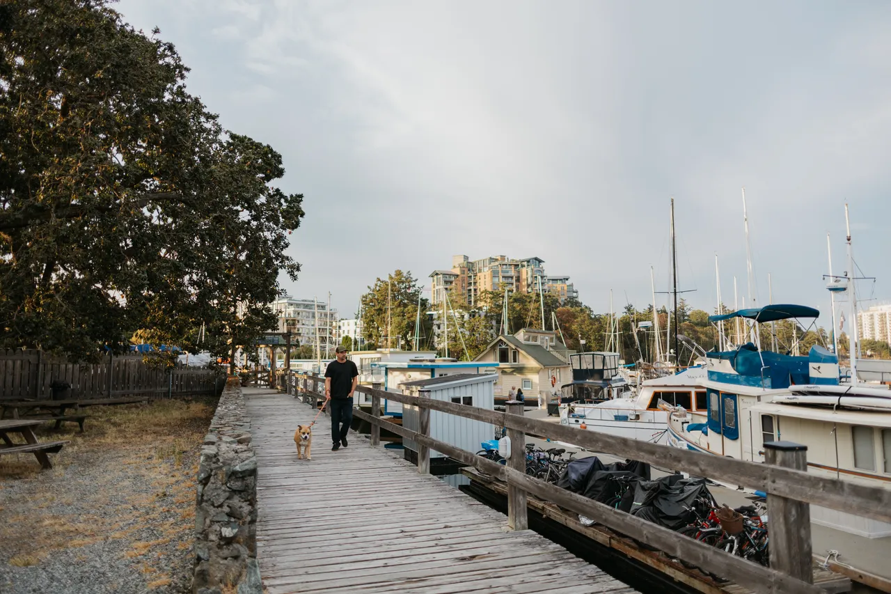 Victoria-Rising-West-Bay-Aug-2025-4