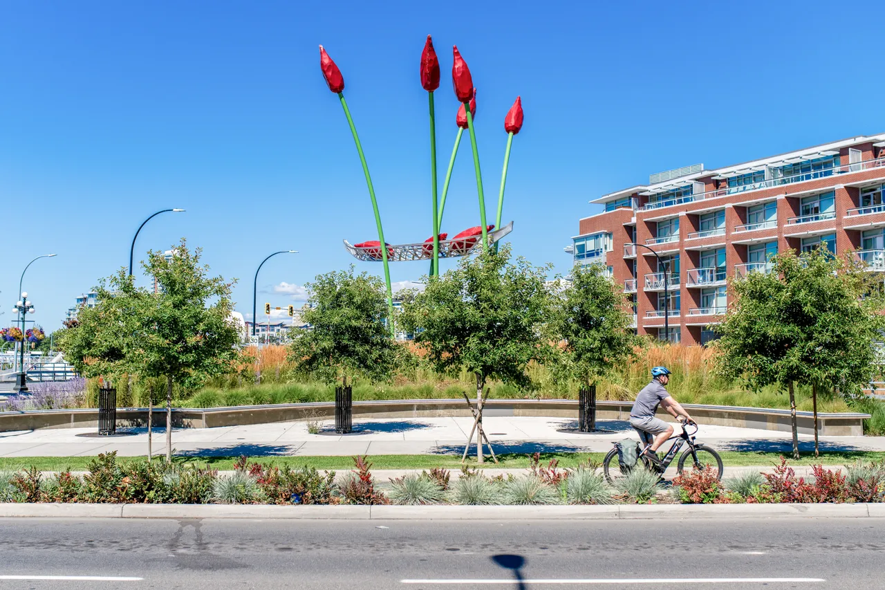 Cycling by tulip sculpture - 2 - Victoria