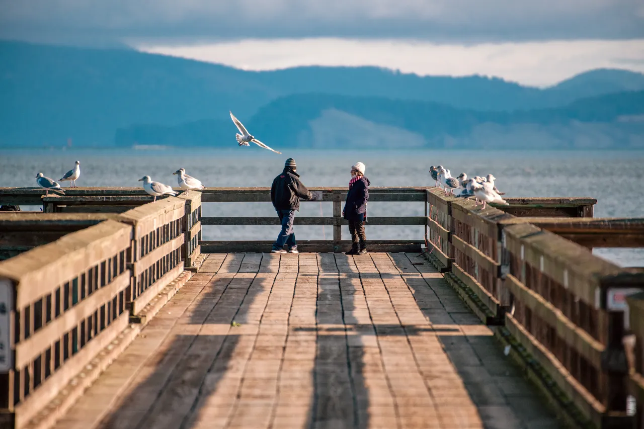 People and gulls on pier - 3