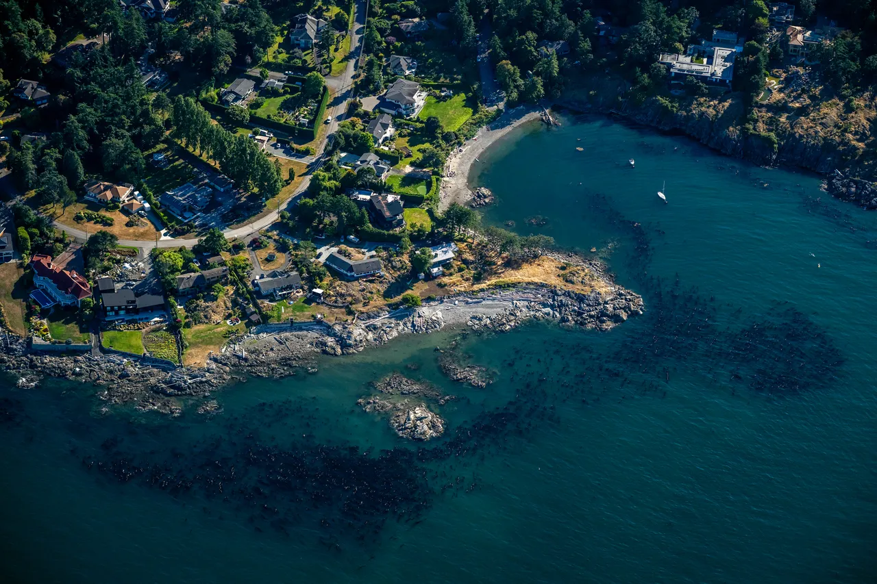 Cadboro Bay Aerial with Shoreline