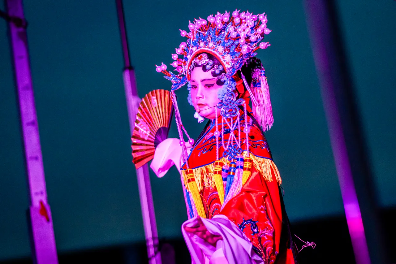 Festival traditional attire - 1