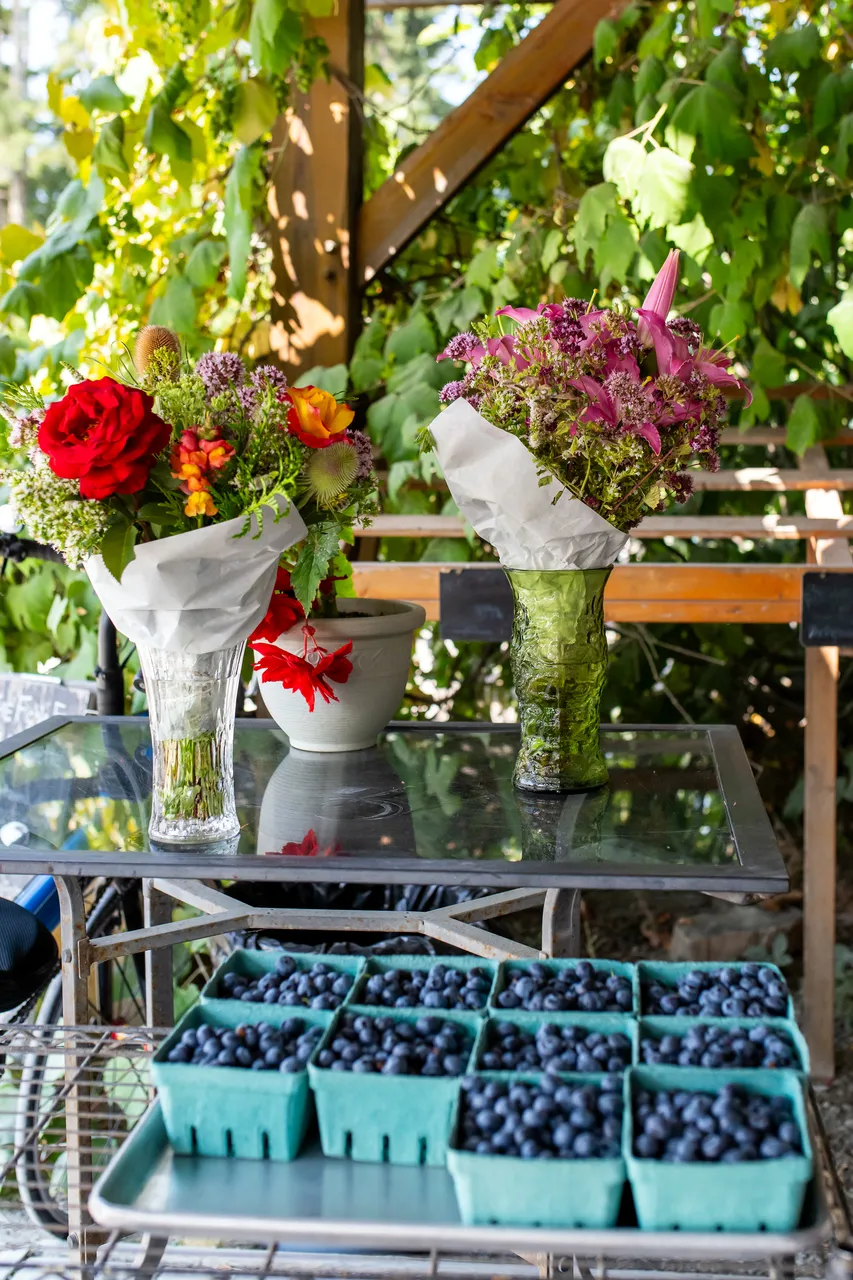 Flowers and Fruit at Stand during Summer