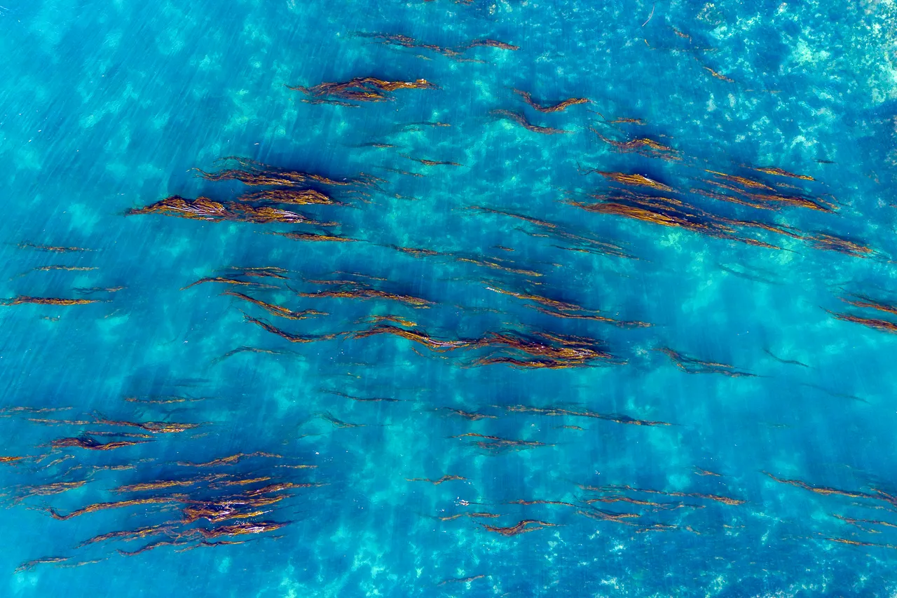 Water landscape aerial - 1