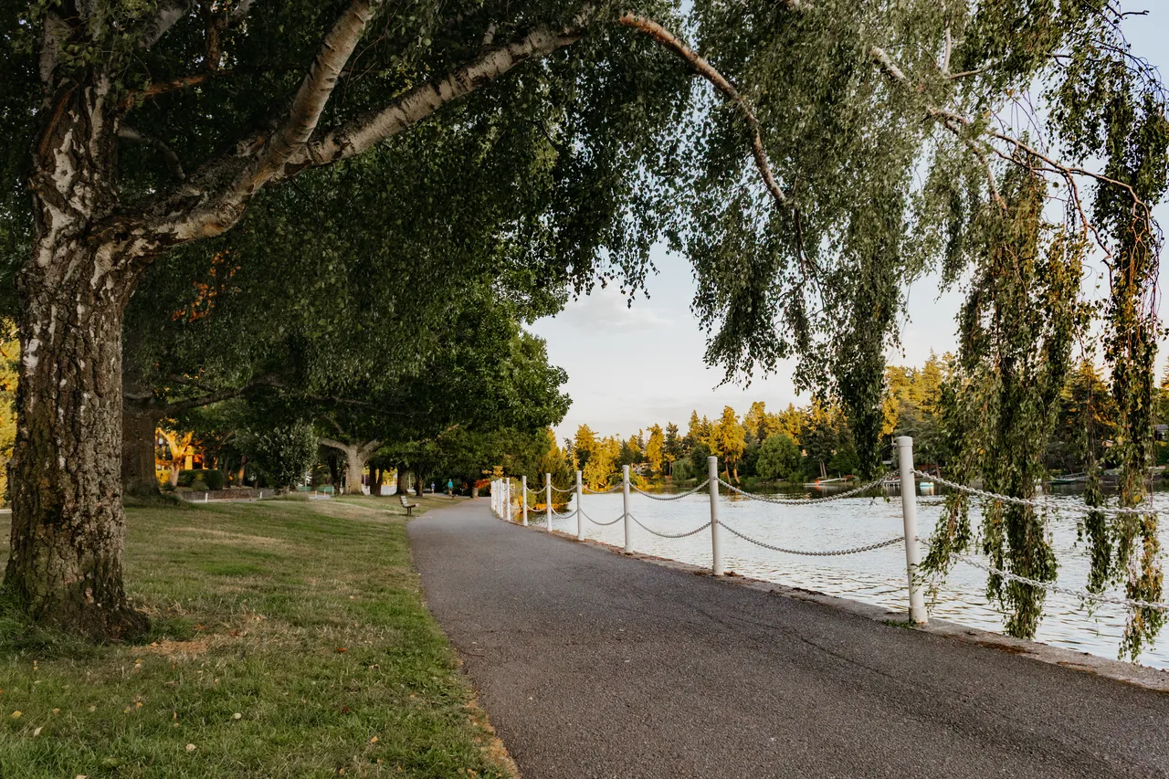 Peaceful riverside path under leafy summer trees