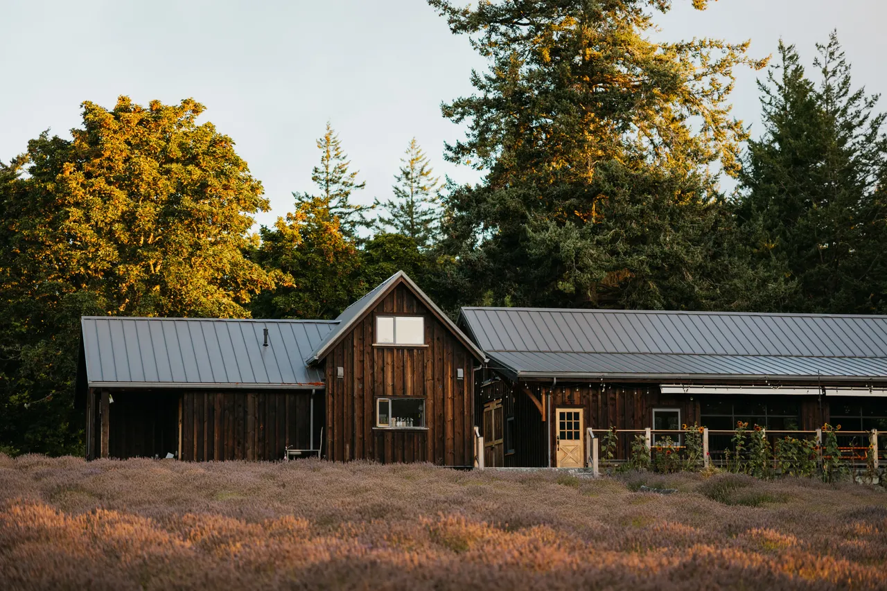 Rustic farmhouse surrounded by trees and autumn fields