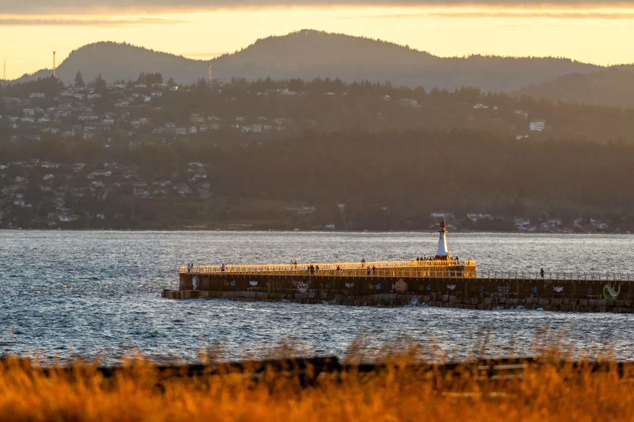 Water landscape with breakwater - 7