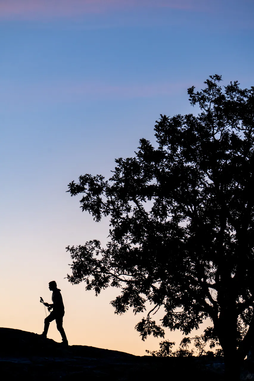 Silhouette of Tree and Person looking at Sky while Walking up Hill