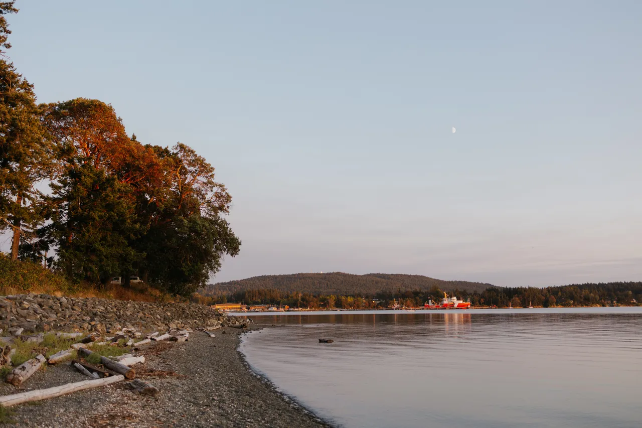 Tranquil shoreline with autumn trees and calm evening sky with boat in background