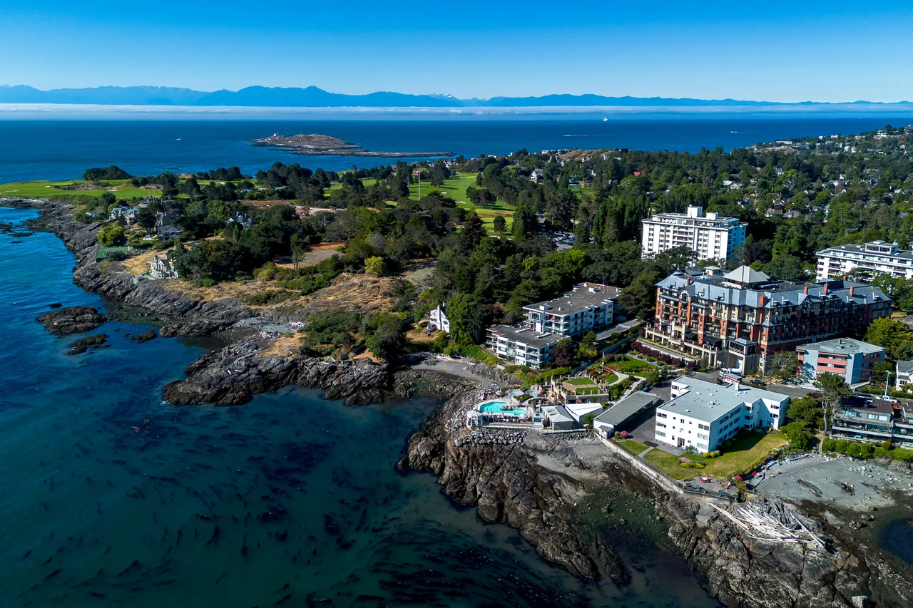 Aerial Photo of Hotel Near Water with Trees in Background