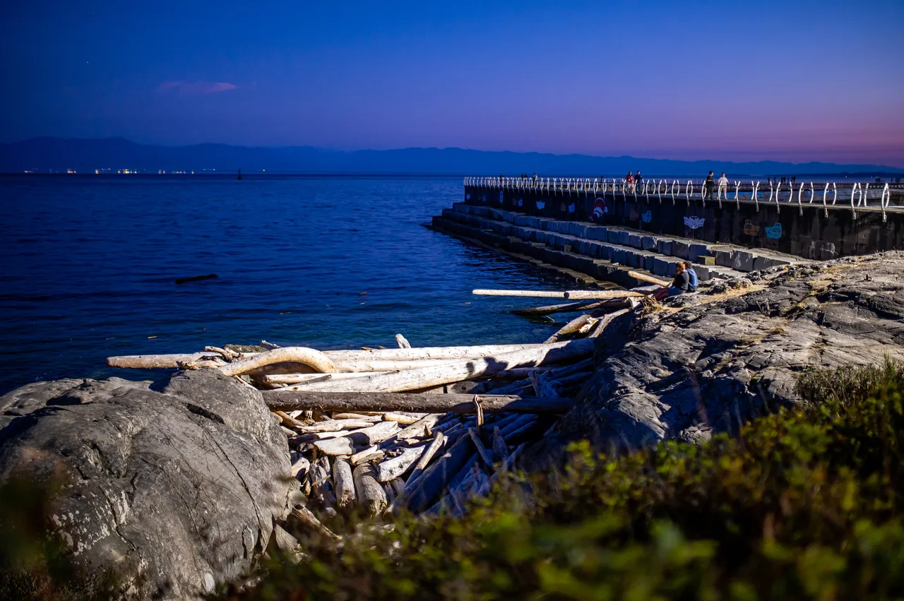 Breakwater Overlooking Logs and Beach at Nighttime with People Walking