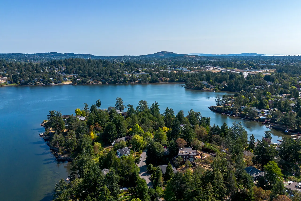 Summer Aerial Photo Overlooking Trees with Sky in Background