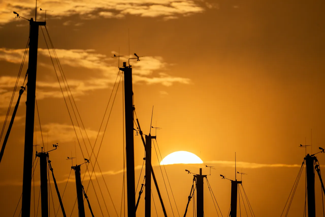 Golden Sunrise Over Shoreline with Sailboat Masts