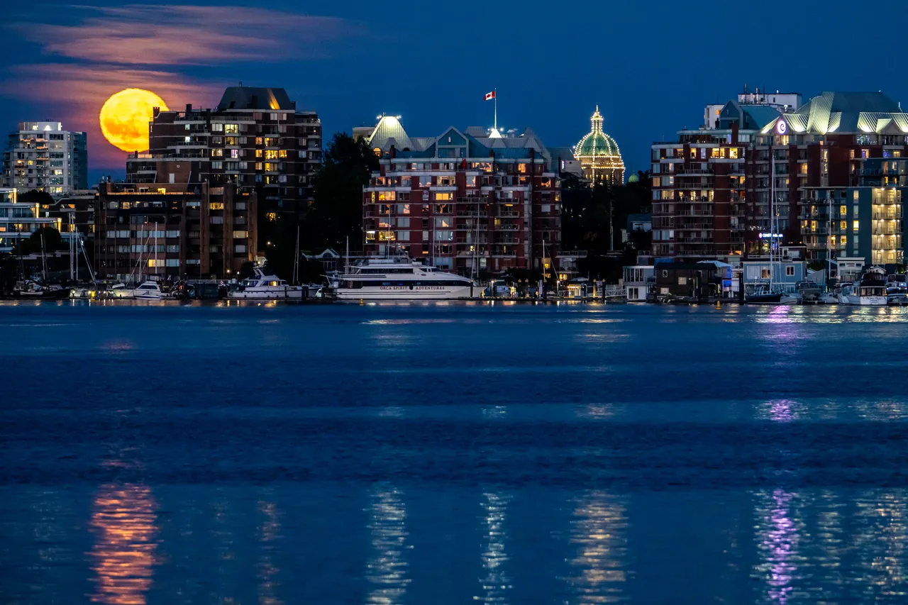 Moon Rising over Downtown Victoria Harbour with Boats and Tall Buildings at Night