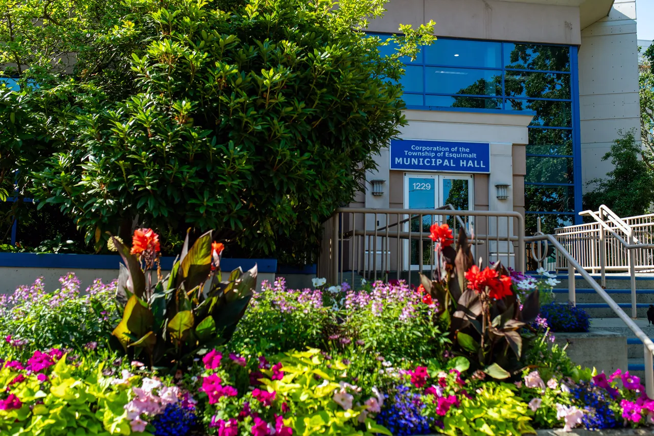 Municipal Hall near Flowers and Trees during Day