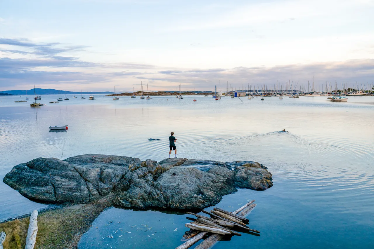 Water landscape - 10