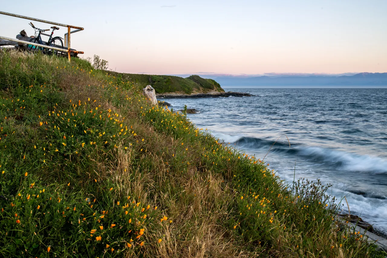 Dallas Road Plants Overlooking Ocean